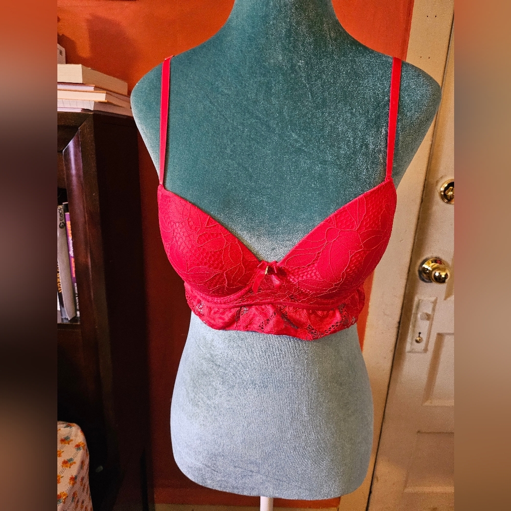 RACHEL ROY red bras